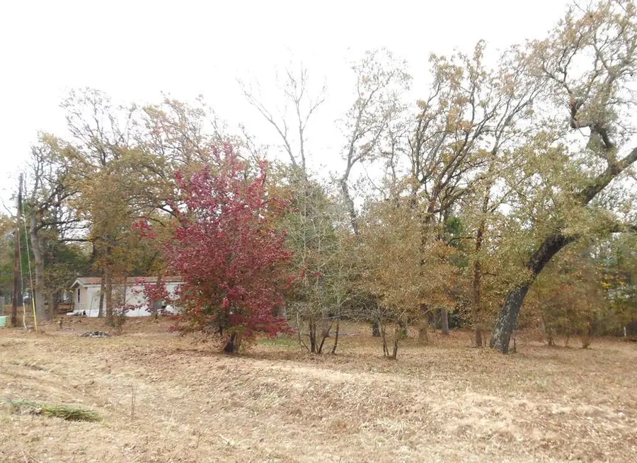 1.4 TBD Willow Ln, Murchison, TX 75778 - Image #2