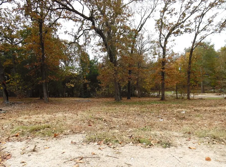 1.4 TBD Willow Ln, Murchison, TX 75778 - Image #3