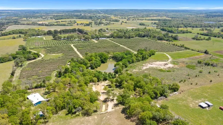 12462 Fm 2588, Larue, TX 75770 - Image #2