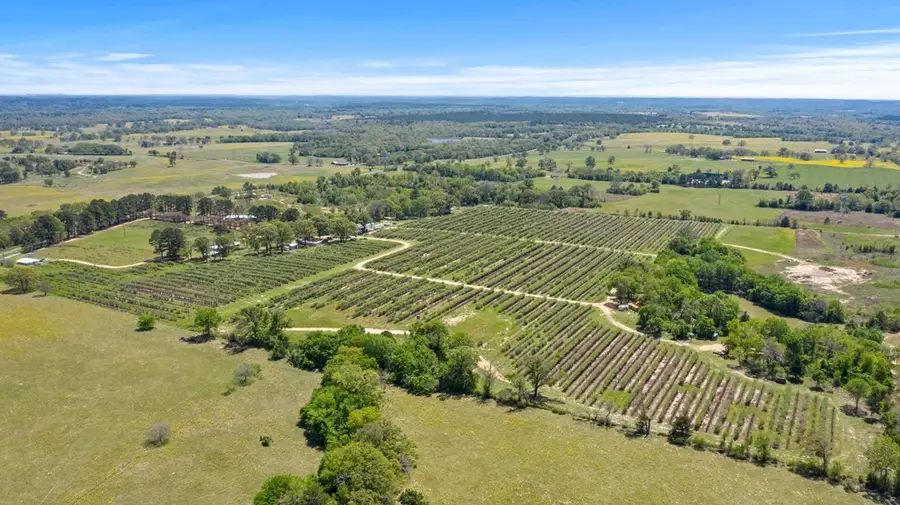 12462 Fm 2588, Larue, TX 75770 - Image #3