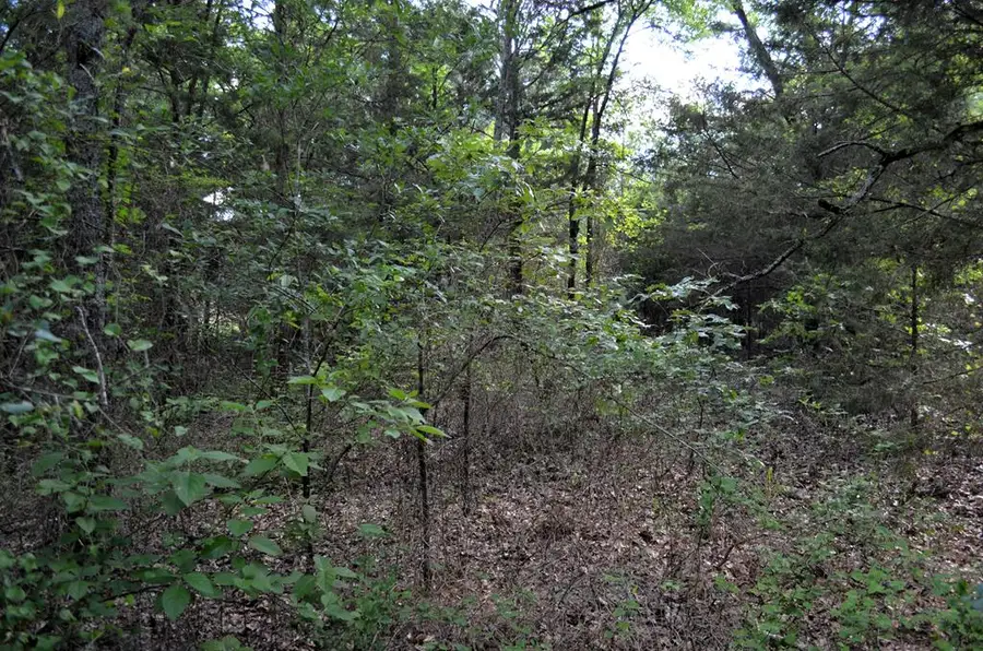 760 Vzcr 2315, Canton, TX 75103 - Image #3