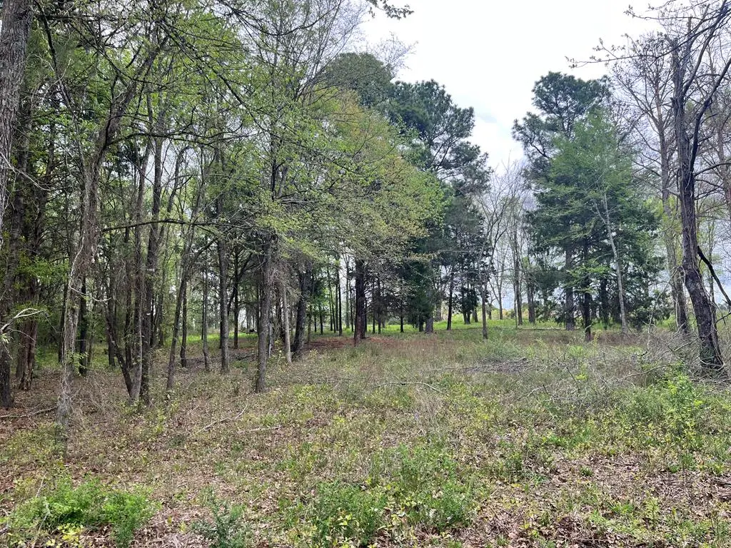 5392 Grandview Dr, Athens, TX 75752 - Image #1