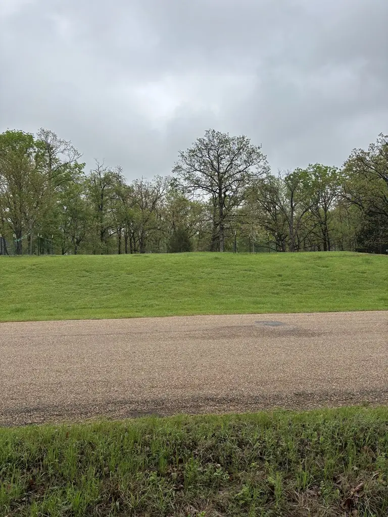 0 Esquire Estate Rd, Mabank, TX 75156 - Image #2