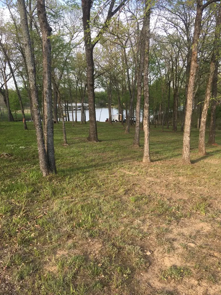 0 Esquire Estate Rd, Mabank, TX 75156 - Image #3