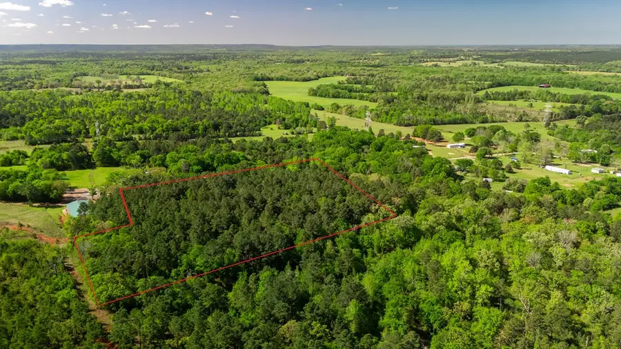 00 Cr 4400, Larue, TX 75770 - Image #3