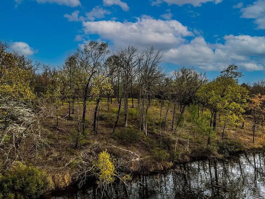 7727 Cr 4801, Athens, TX 75752 - #2