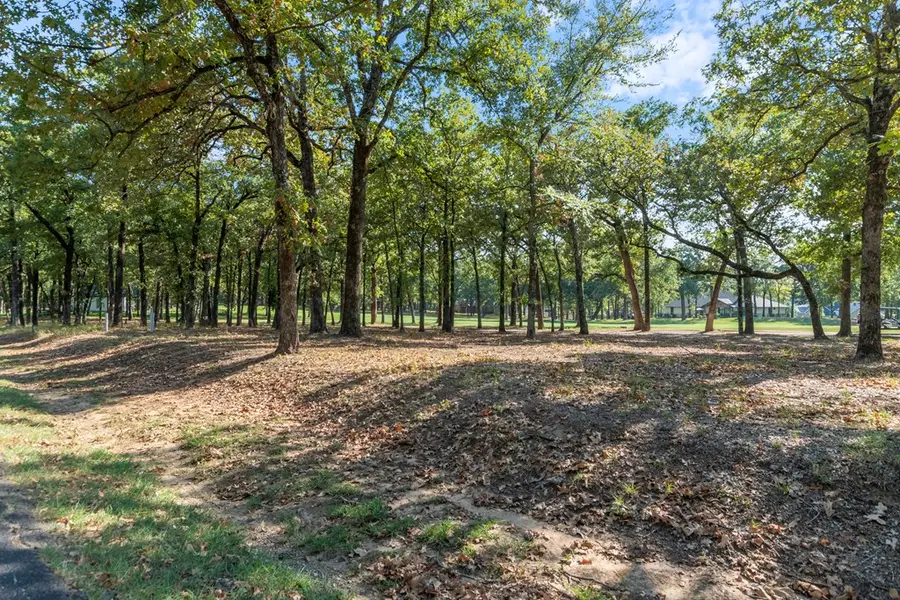 223 Colonial Dr, Mabank, TX 75156 - #2