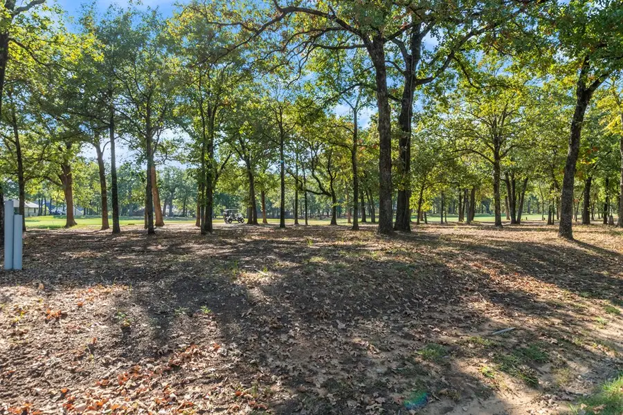 223 Colonial Dr, Mabank, TX 75156 - #3