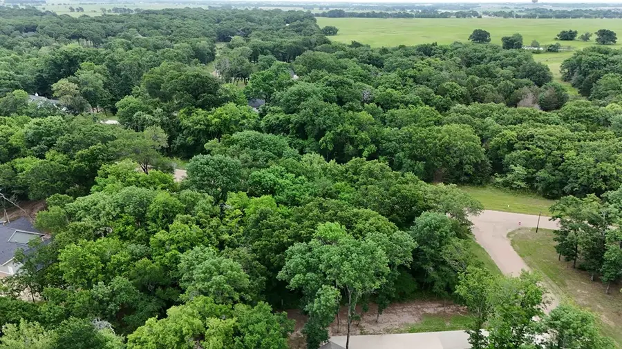 126 Lakeview Trl, Mabank, TX 75147 - Image #3