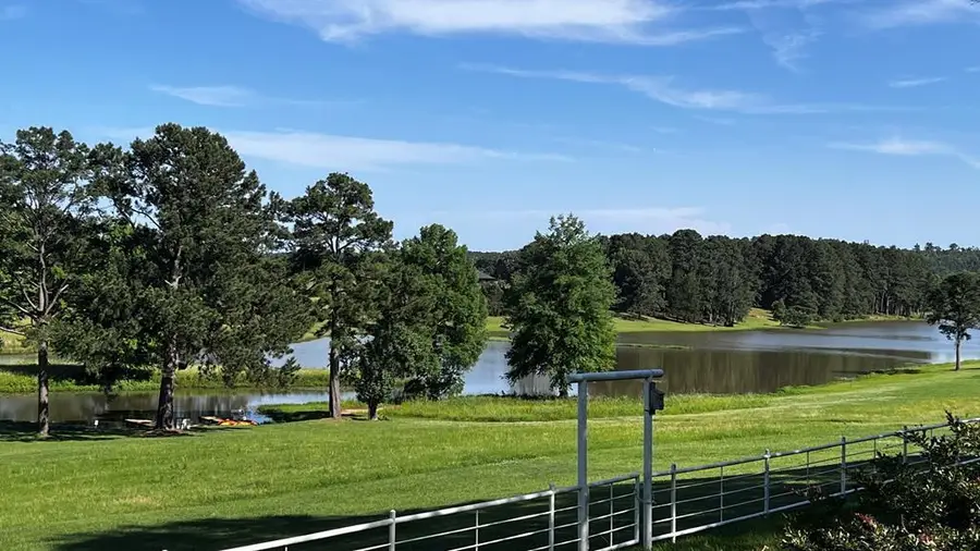 11786 Cr 4401, Larue, TX 75770 - Image #3