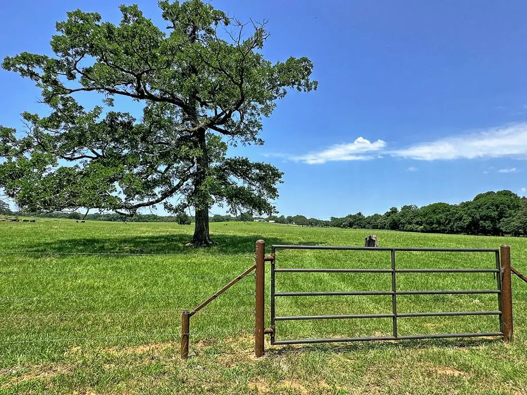 TBD Cr 1127, Athens, TX 75751 - #1