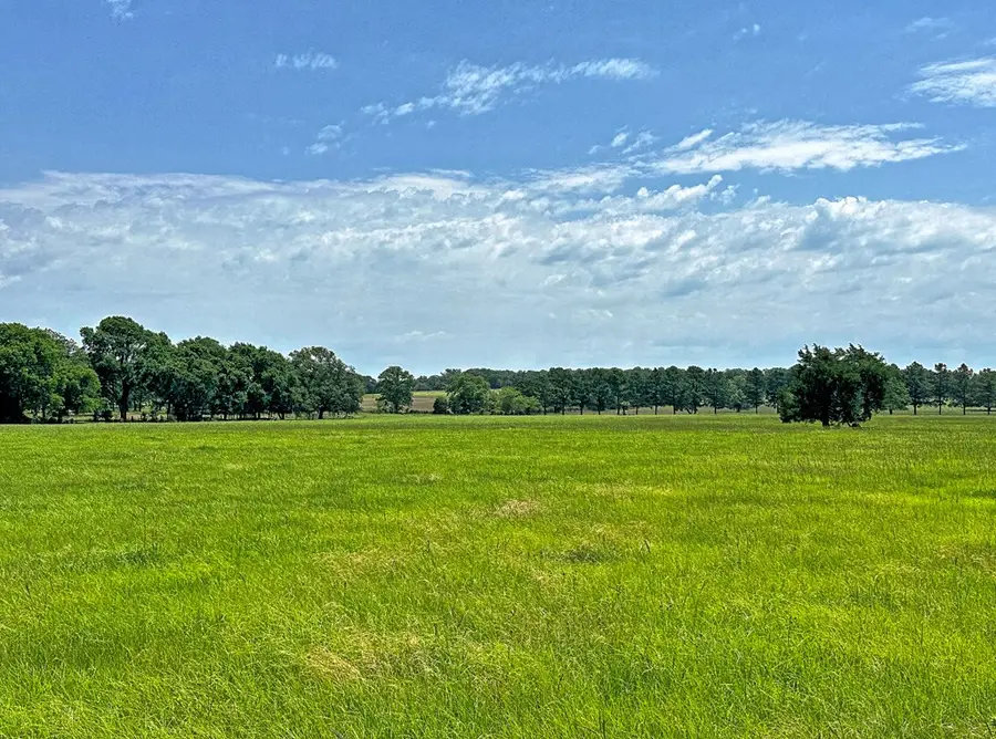 TBD Cr 1127, Athens, TX 75751 - #3