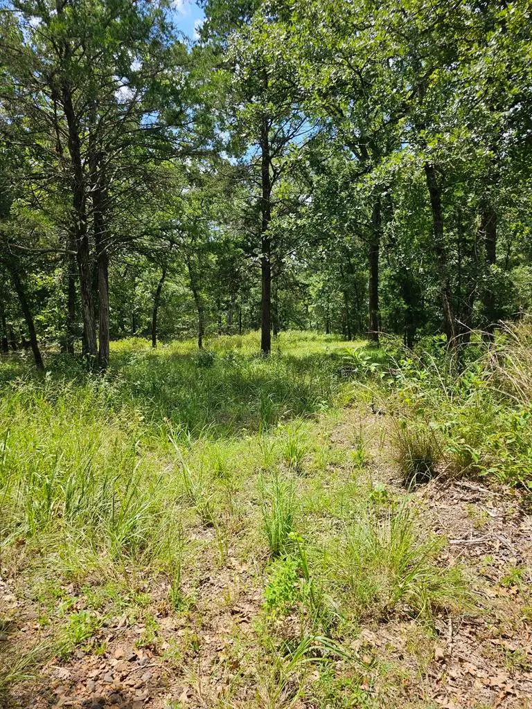 Lot 377 Timber Ridge, Larue, TX 75770 - Image #1