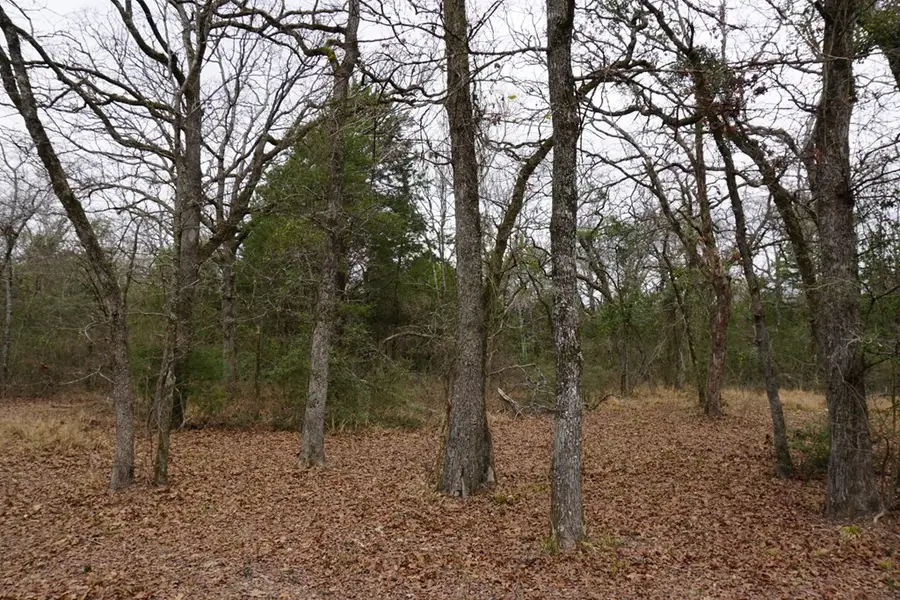10530 Pr 5207, Malakoff, TX 75148 - Image #3