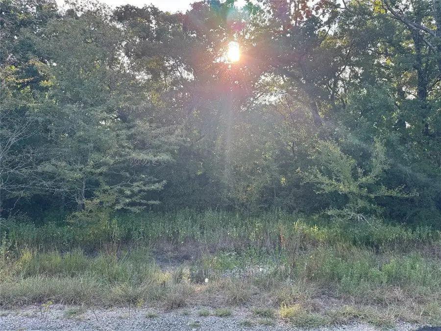 0 R And R Cir, Kemp, TX 75143 - Image #3