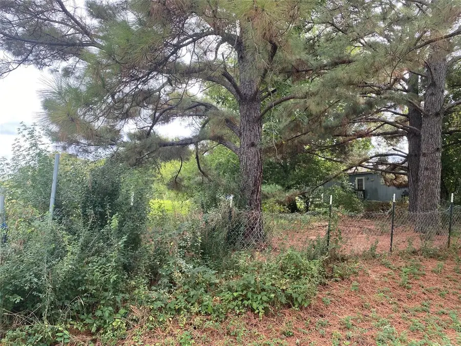 TBD Goldwater Rd., Kemp, TX 75143 - Image #3