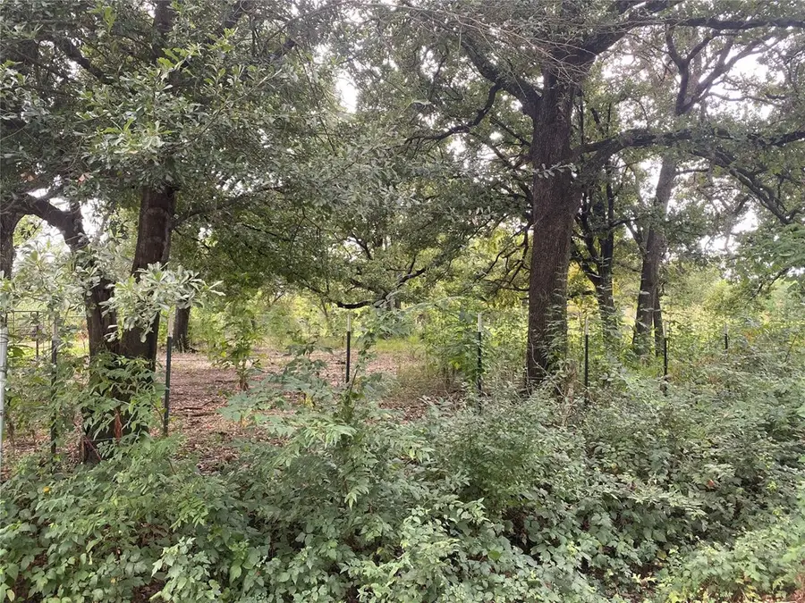 TBD Goldwater Rd., Kemp, TX 75143 - #2