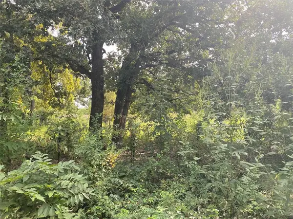 TBD Goldwater Rd., Kemp, TX 75143