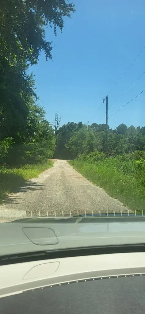 10490 Browning St, Brownsboro, TX 75756 - Image #3