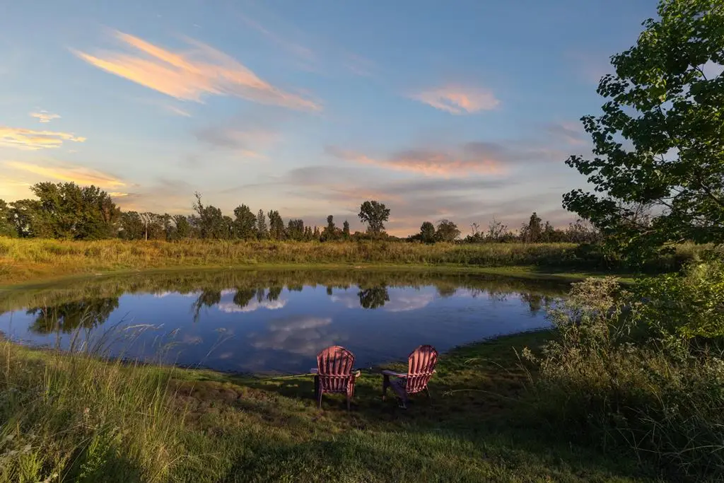 661 Vzcr 4406, Ben Wheeler, TX 75754 - Image #1