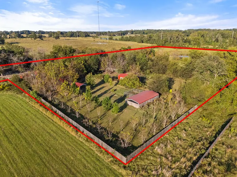 661 Vzcr 4406, Ben Wheeler, TX 75754 - Image #3