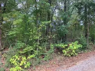 TBD 17 Westwood Dr, Trinidad, TX 75163 - Image #1