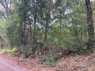 TBD 17 Westwood Dr, Trinidad, TX 75163 - Image #3