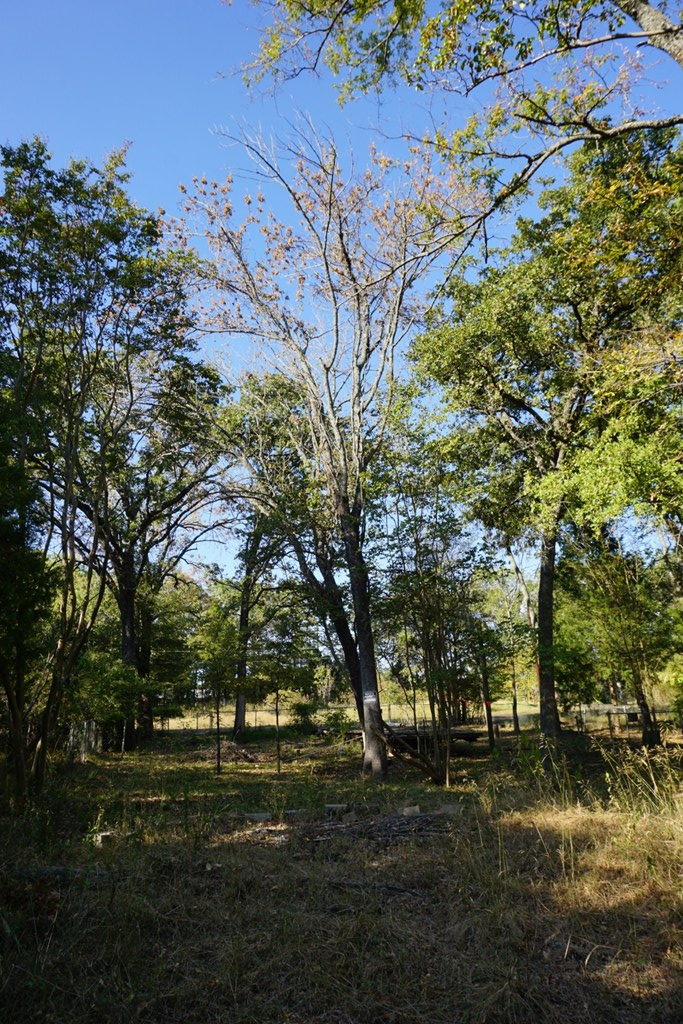 1714 Doc Holiday, Log Cabin, TX 75148 - Image #3