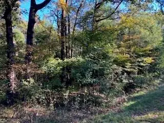 TBD Dogwood Dr, Trinidad, TX 75163