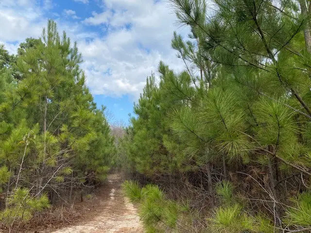 TBD Edmonson, Athens, TX 75751 - #3