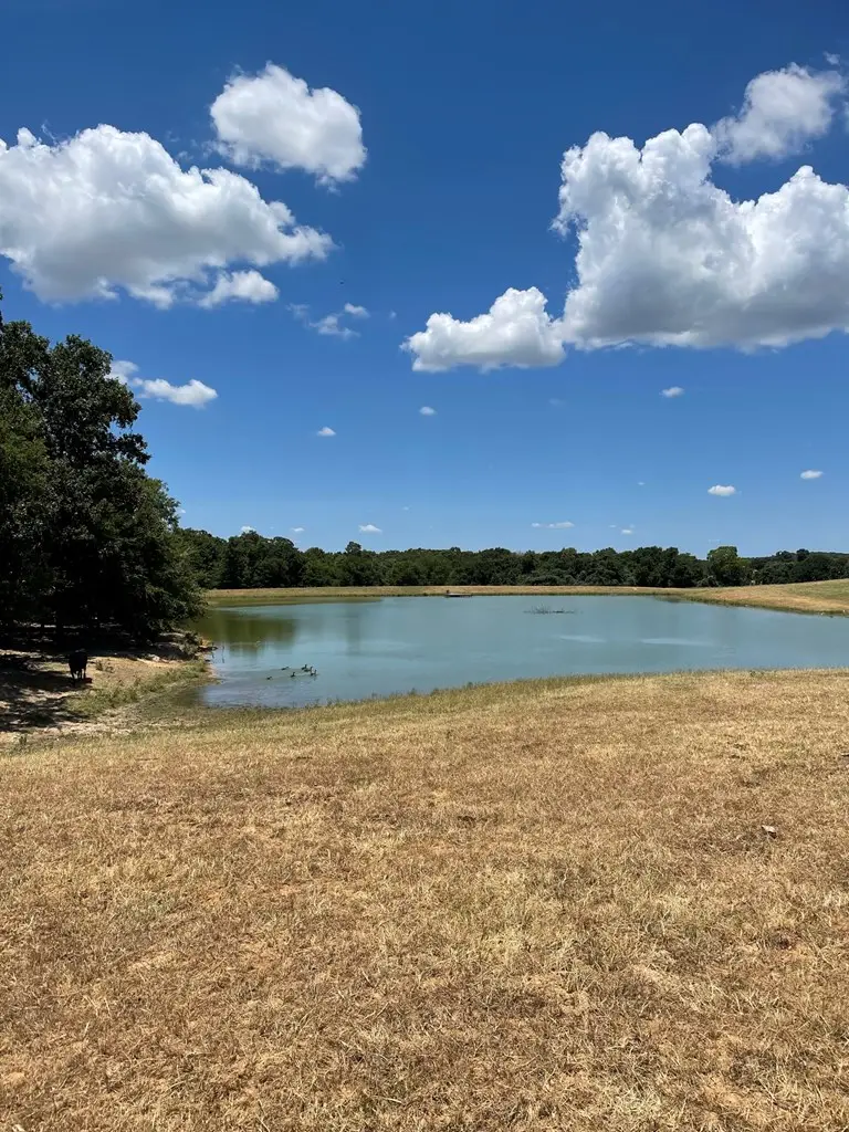 8970 Fm 59, Athens, TX 75751 - Image #3