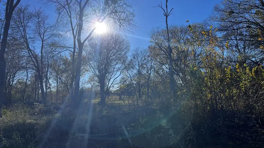 8455 Southern Shore Ct, Kemp, TX 75143 - Image #2