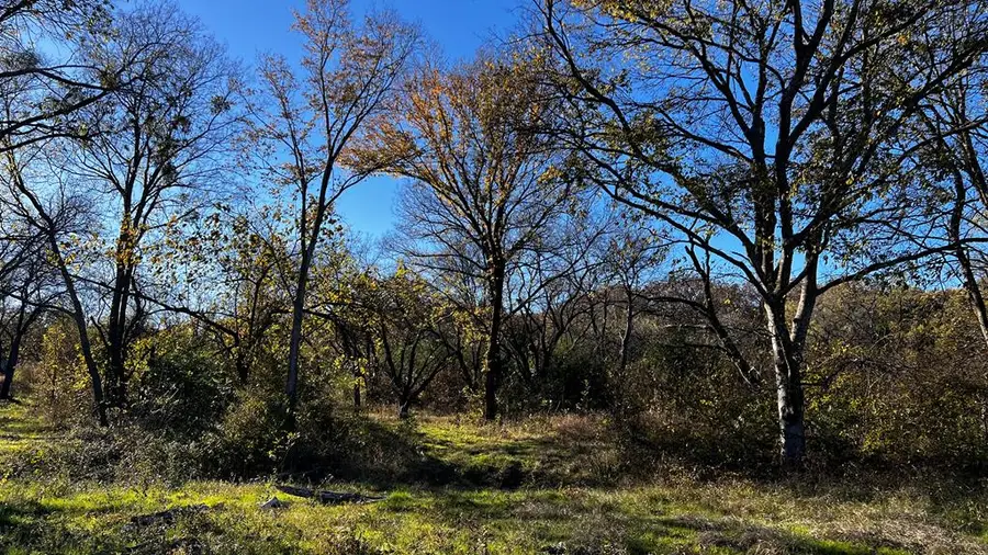 8455 Southern Shore Ct, Kemp, TX 75143 - Image #3