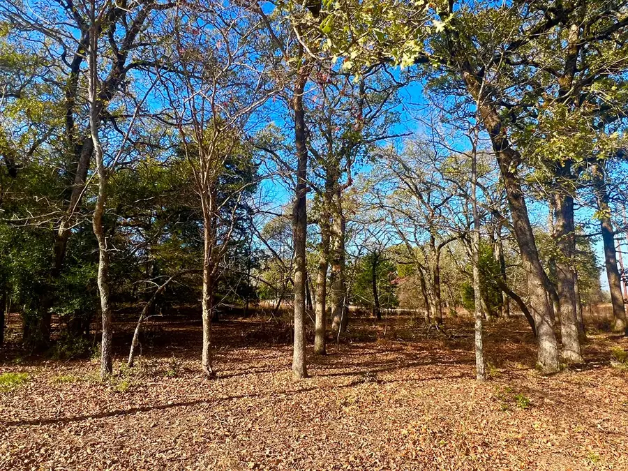 451-452 Jamey Ct, Athens, TX 75752 - Image #2