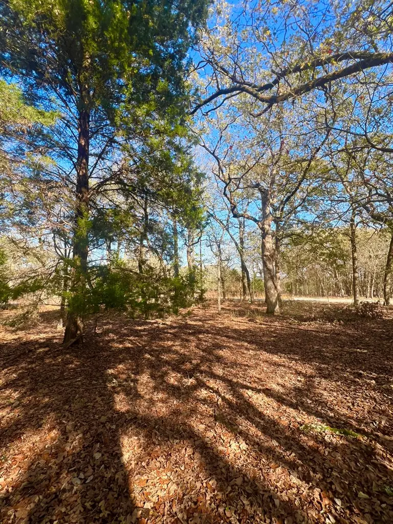 451-452 Jamey Ct, Athens, TX 75752 - Image #3