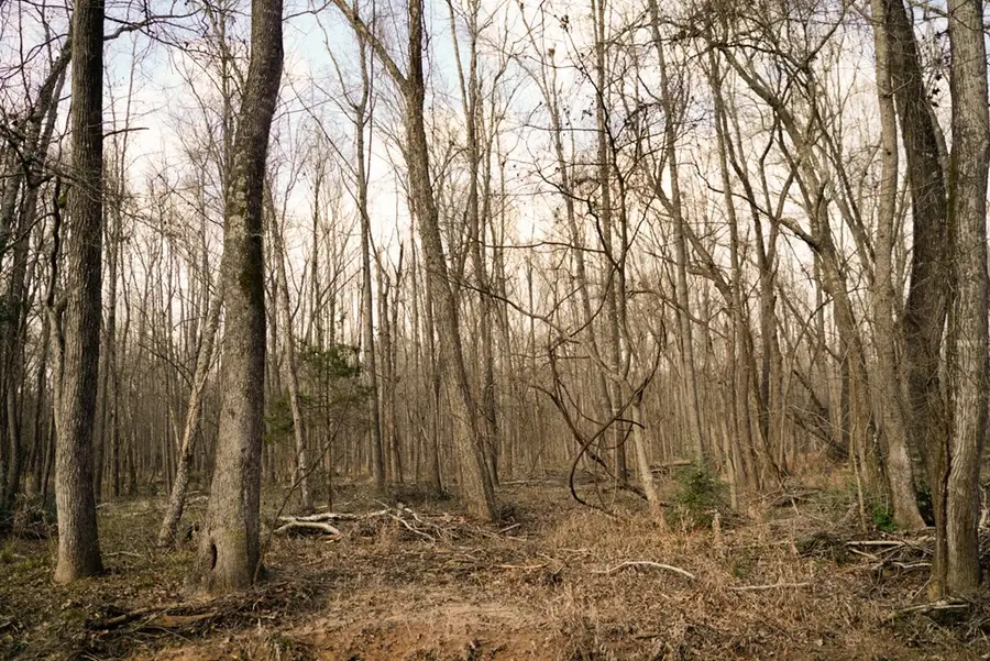 9268 Cr 4346, Larue, TX 75770 - Image #3