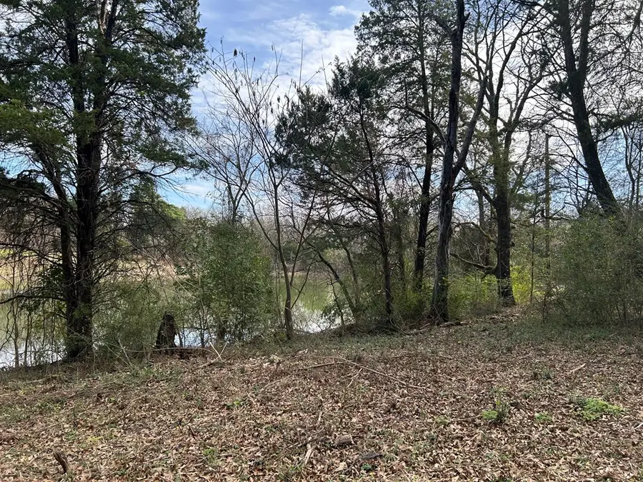 0 E Mitcham St, Malakoff, TX 75148 - Image #2