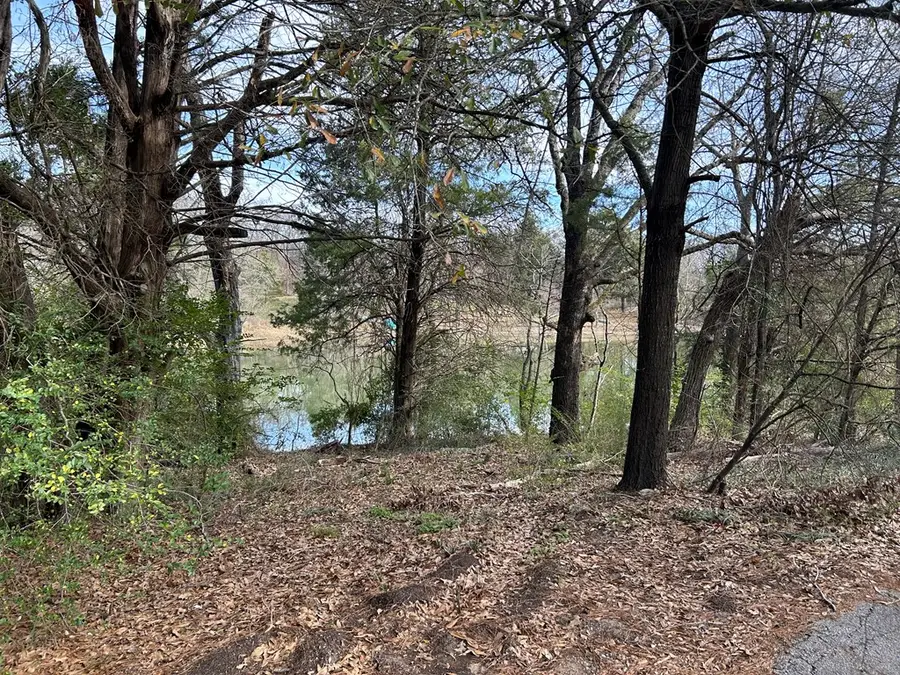 0 E Mitcham St, Malakoff, TX 75148 - Image #3