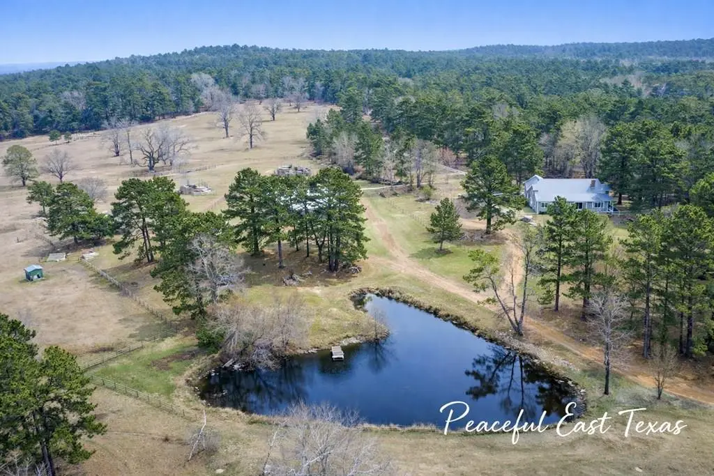 9689 E Fm 837, Palestine, TX 75803 - Image #1