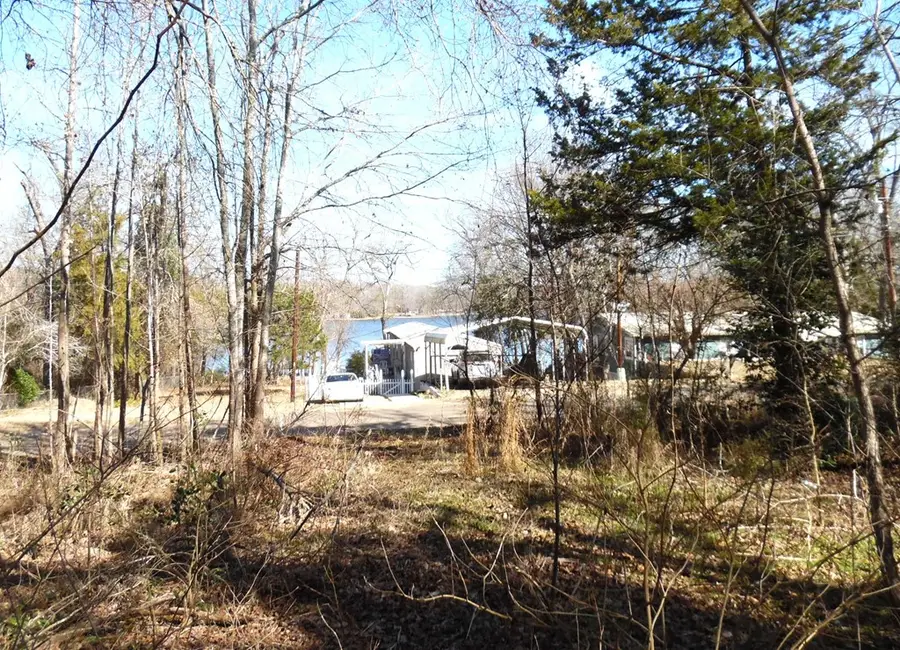 TBD.21 Dogwood Trl, Murchison, TX 75778 - #2