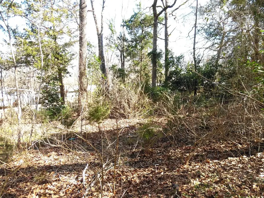 TBD.21 Dogwood Trl, Murchison, TX 75778 - #3