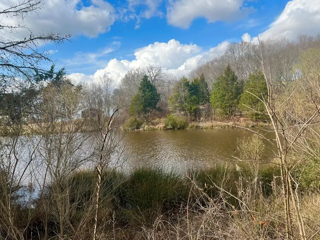 Lot 175 Rolling Hills Ct, Athens, TX 75752 - #1