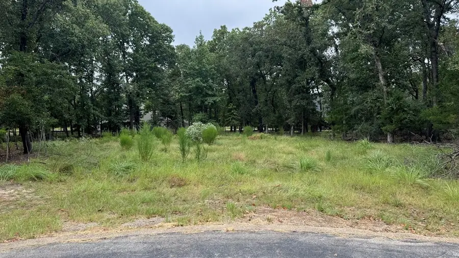 7207 Pedernales, Athens, TX 75751 - #3