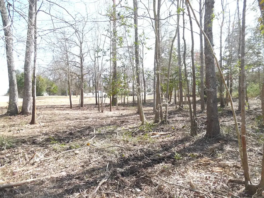 TBD . 1 Maple Dr, Murchison, TX 75778 - #3