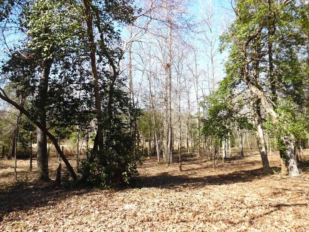 TBD . 2 Maple Dr, Murchison, TX 75778 - #1