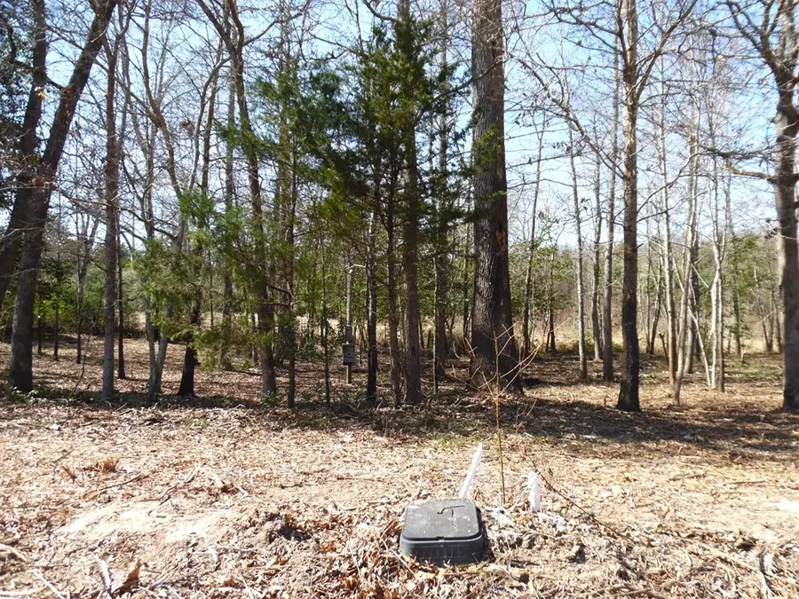 TBD . 2 Maple Dr, Murchison, TX 75778 - #2