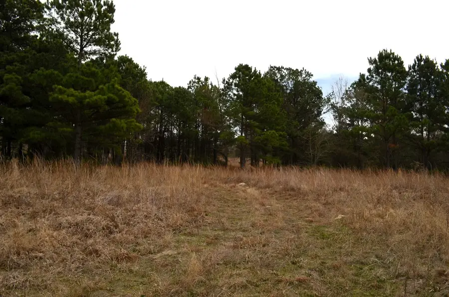 3843 Fm 1256, Eustace, TX 75124 - #2