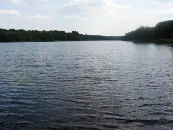 9349 Safari Shores Dr, Larue, TX 75770