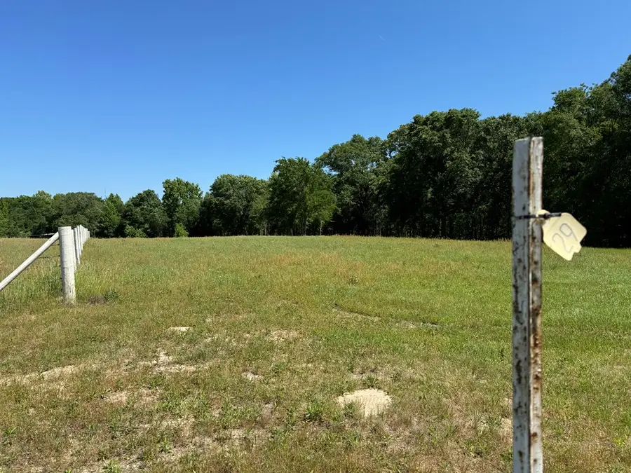 0 Pine Ridge, Athens, TX 75752 - #2