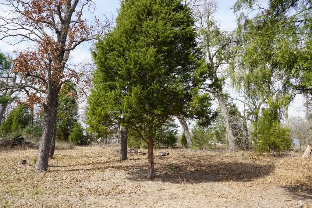 1698 Doc Holiday, Log Cabin, TX 75148 - #1